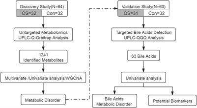 An Integrated Metabolomic Study of Osteoporosis: Discovery and Quantification of Hyocholic Acids as Candidate Markers